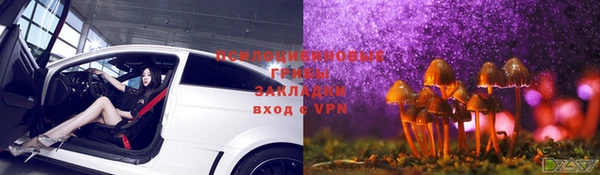 кокс Аркадак