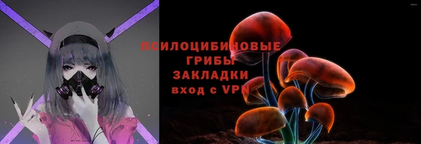 амф Арсеньев