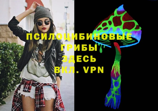 ПСИЛОЦИБИНОВЫЕ ГРИБЫ Армянск