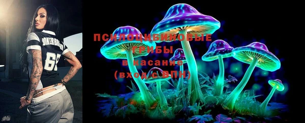ПСИЛОЦИБИНОВЫЕ ГРИБЫ Армянск