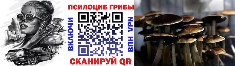 где купить наркотик  Среднеколымск  сайты даркнета состав  Галлюциногенные грибы Magic Shrooms 